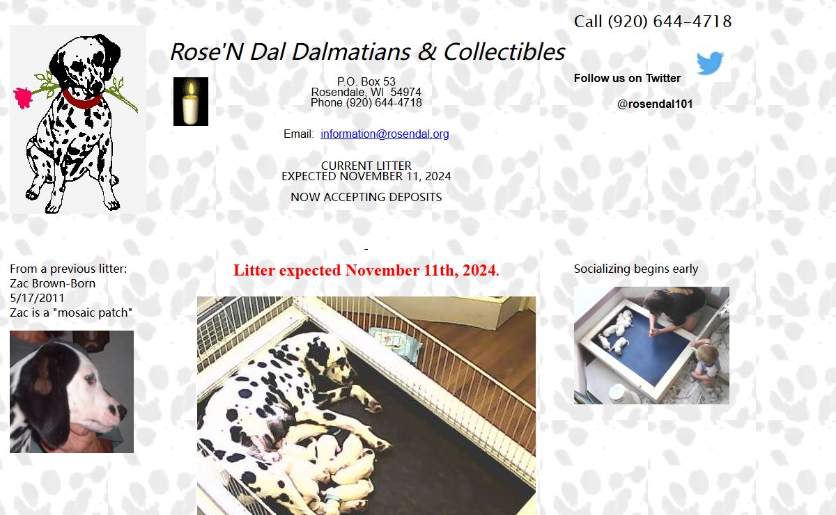 Rose'N Dal Dalmatians & Collectible Home Page - A Reputable Dalmatian Breeder located in Wisconsin