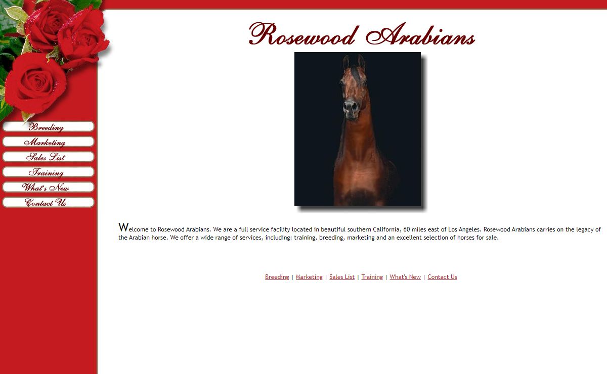 Rosewood Arabians : Arabian Horses : Breeding, Training, and Sales