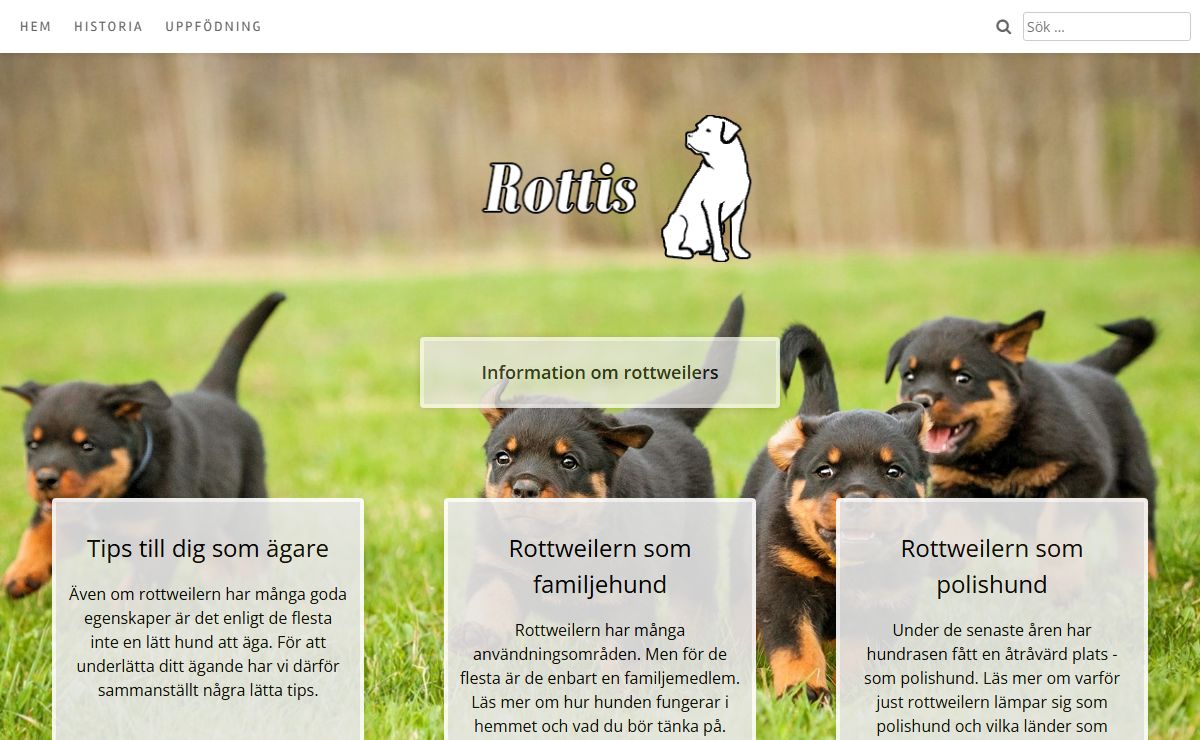 Rottis – Information om allt som rör rottweilers och hundskötsel