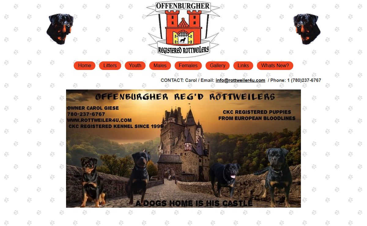 Offenburgher Rottweilers: Rottweiler4u.com
