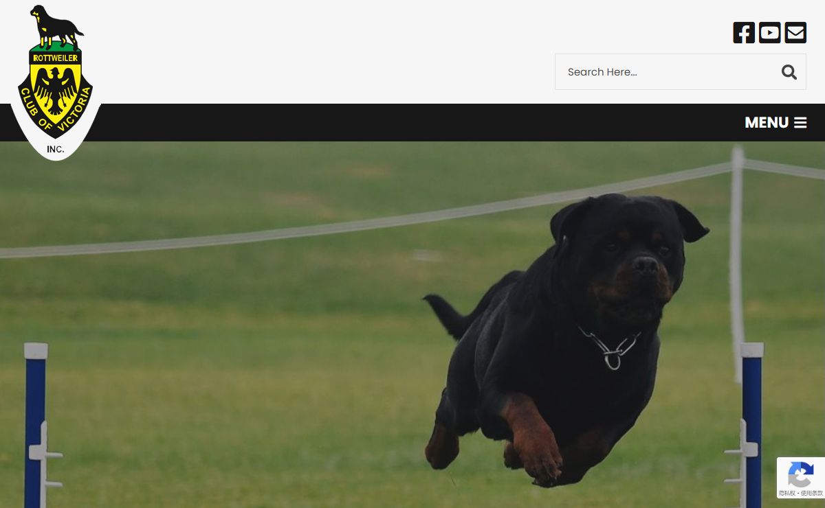 Rottweiler Club of Victoria - The Largest & Dedicated Club in Australia.