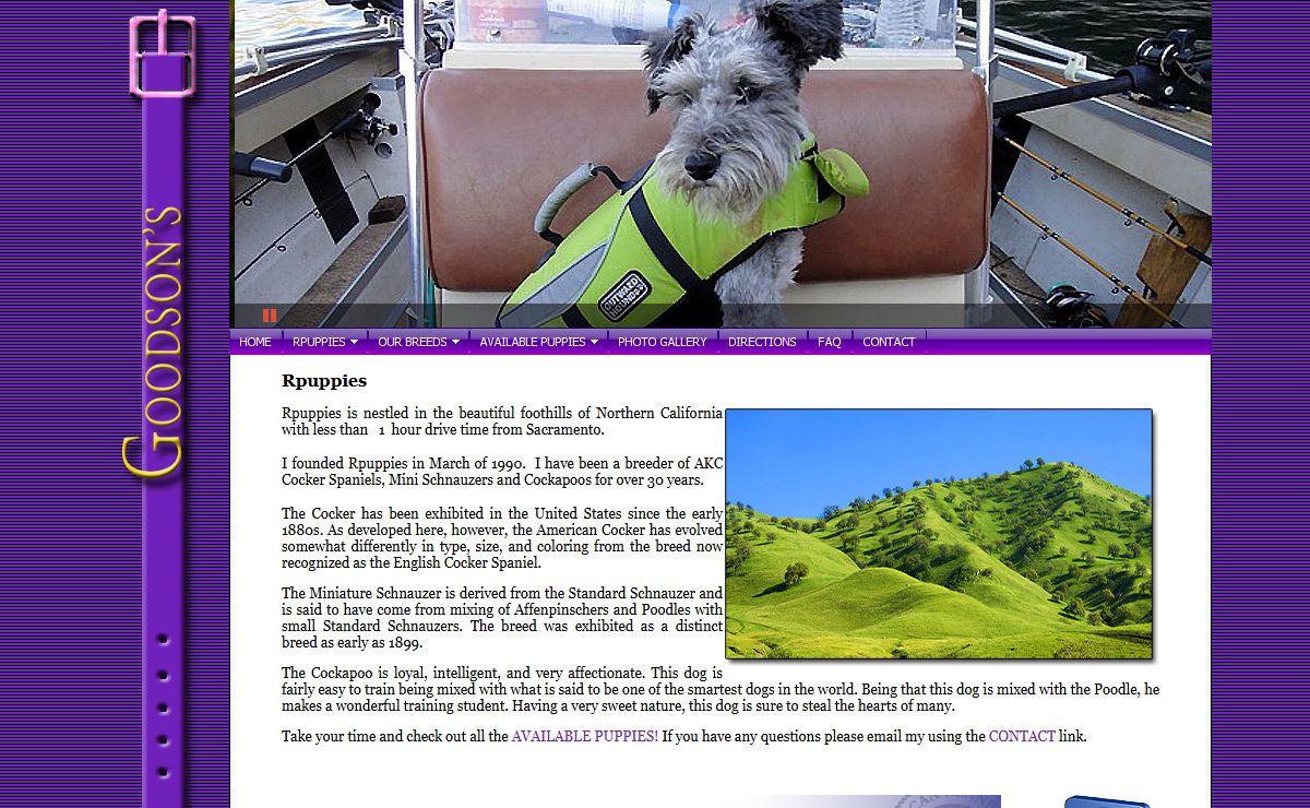 Cocker Spaniels Mini Schnauzers Cockapoos Sacramento California