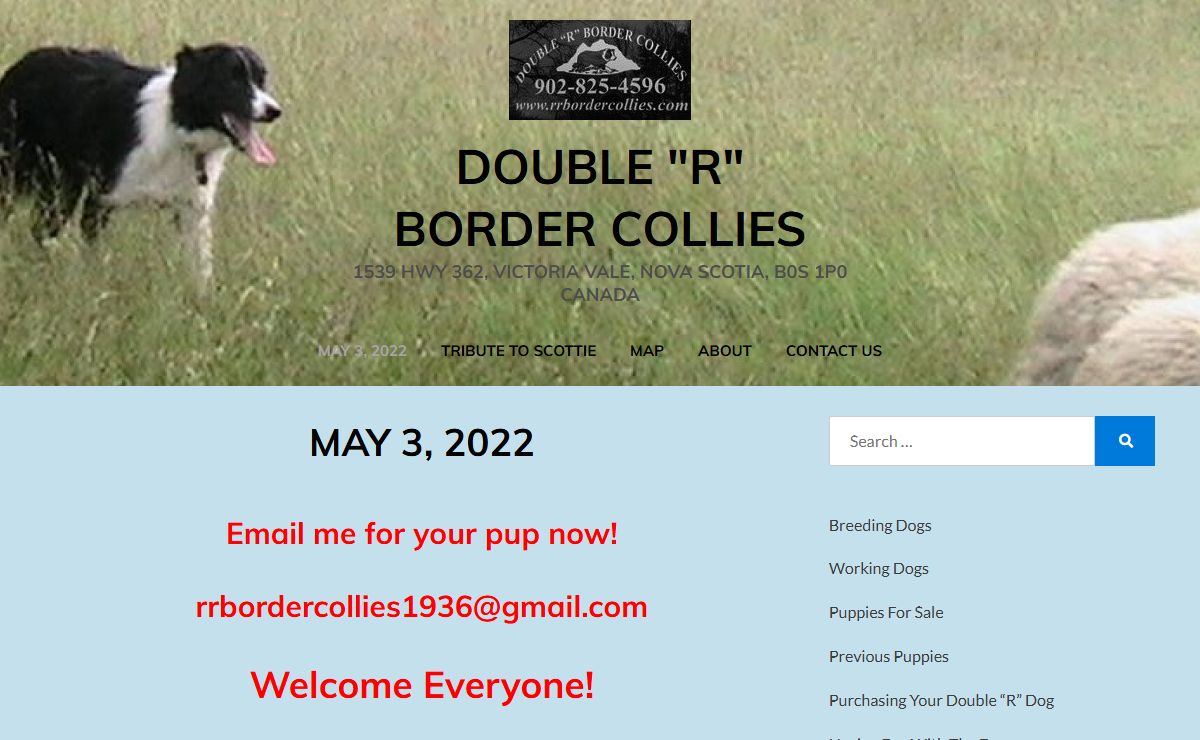 Double "R" Border Collies – 1539 Hwy 362, Victoria Vale, Nova Scotia, B0S 1P0 Canada