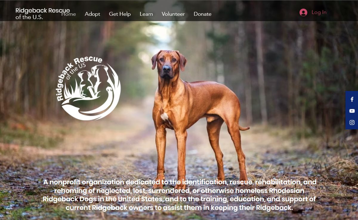 Home | Ridgeback Rescue US