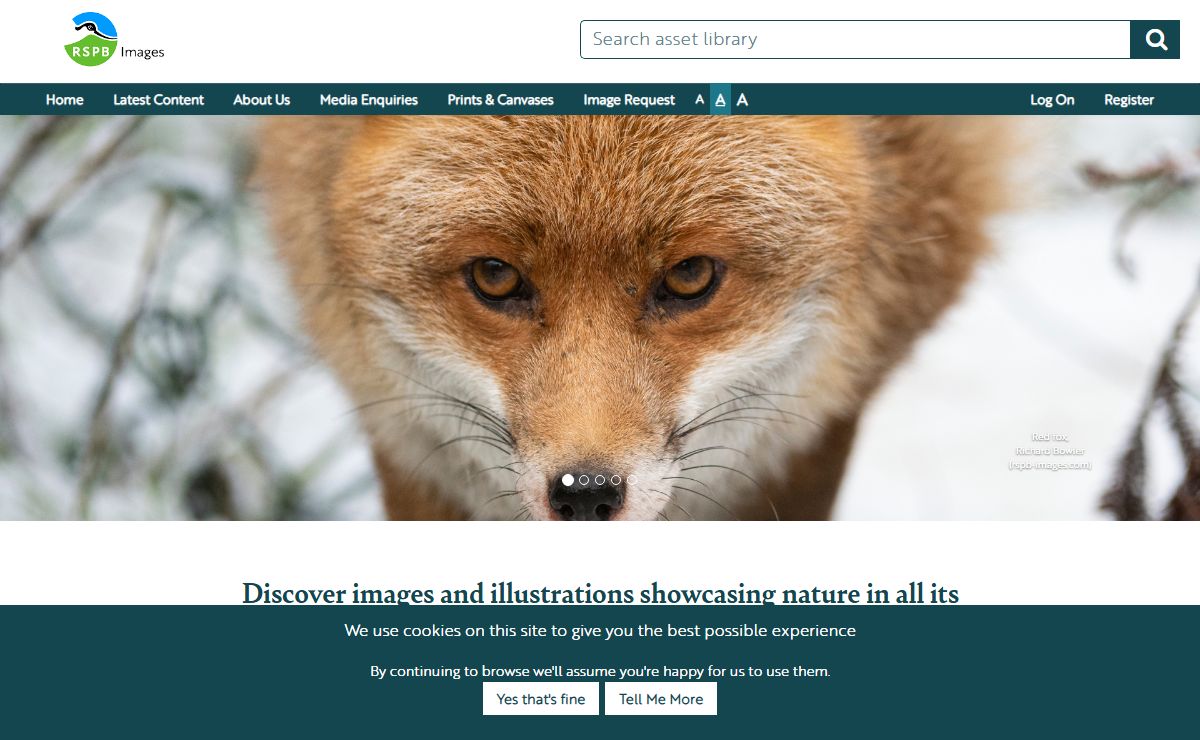 RSPB Images - Home