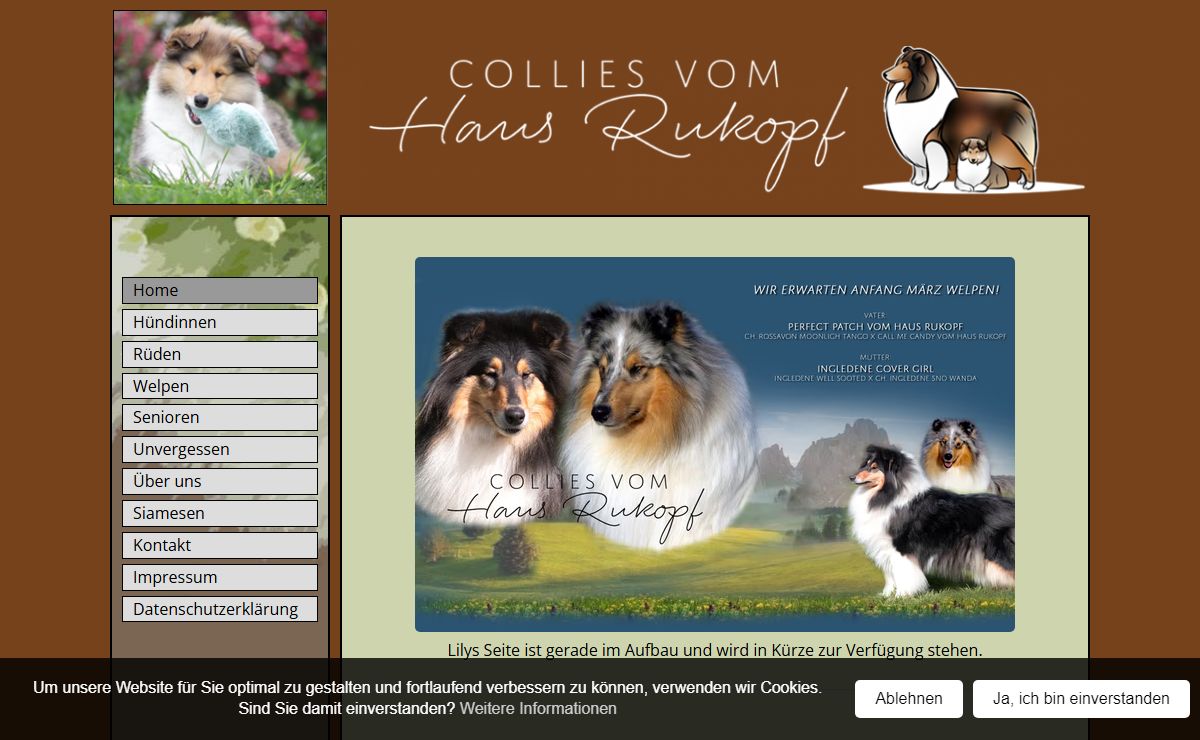 Home - Collies vom Haus Rukopf