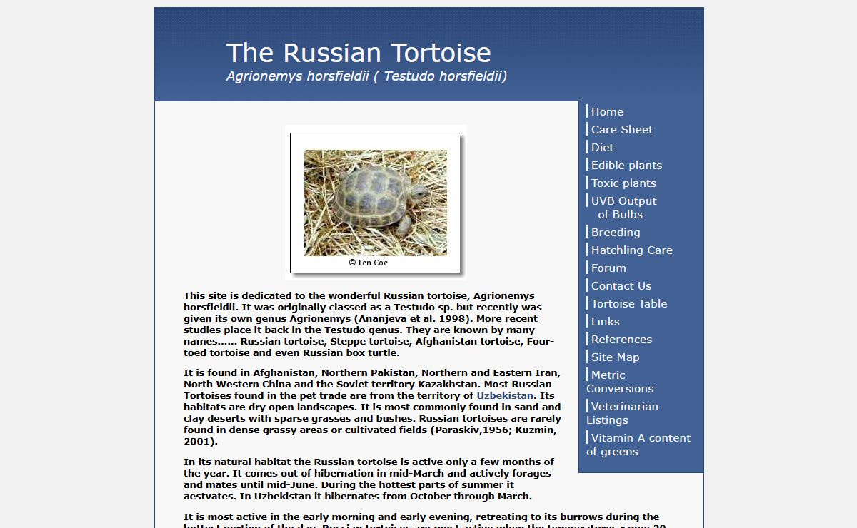 The Russian Tortoise