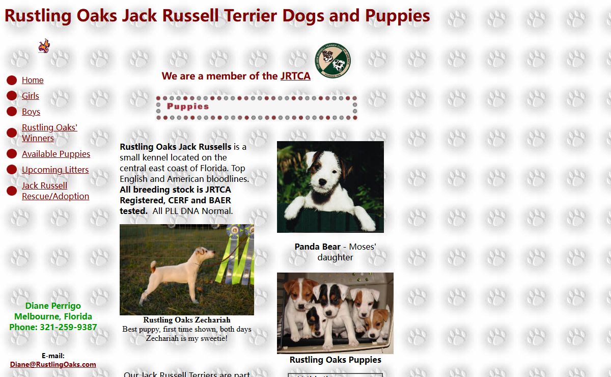Rustling Oaks Jack Russell Terrier Breeder, Dog and Puppes in Melbourne, FL