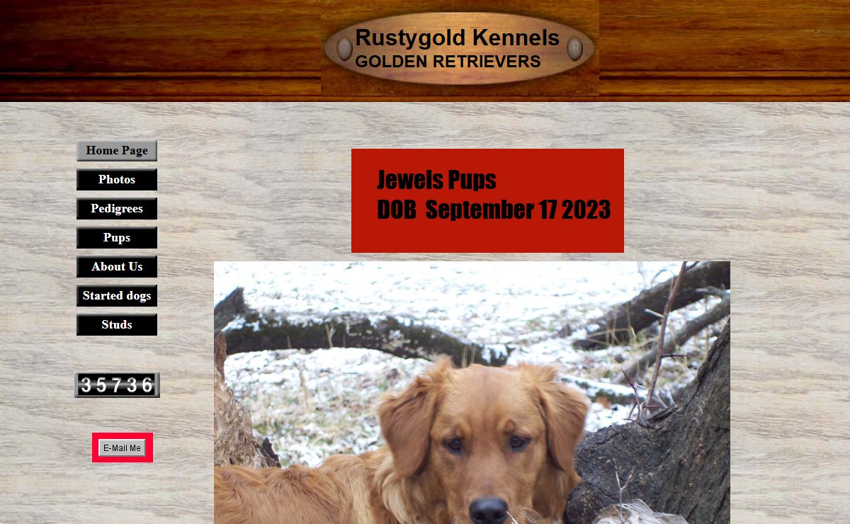 rustgold