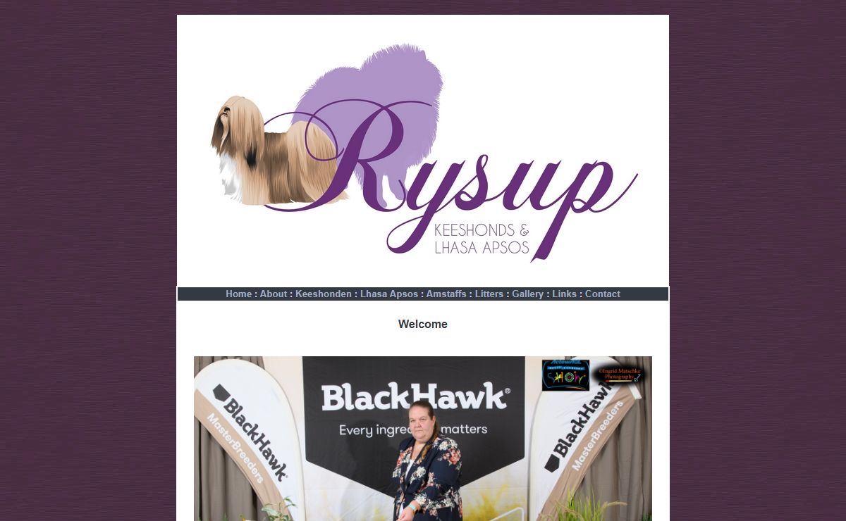 Rysup Keeshonden & Lhasa Apsos - Sydney, Australia