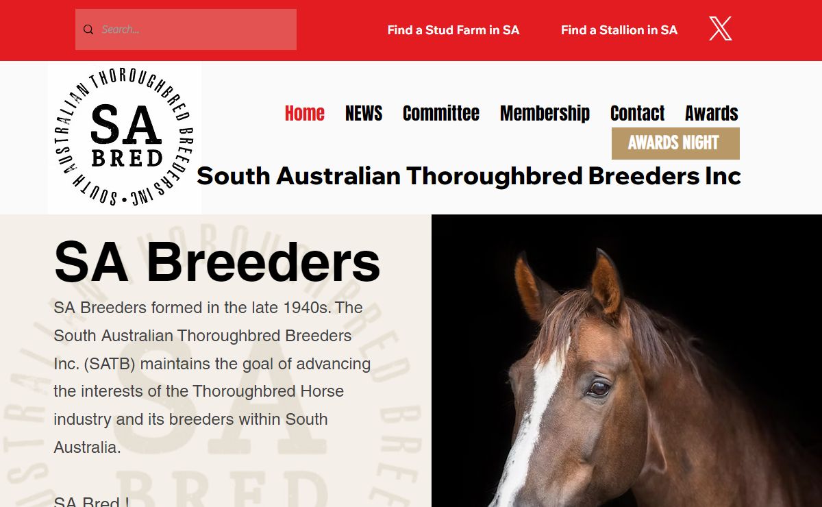 SA Breeders | SA Bred | South Australian Thoroughbred Breeders Inc