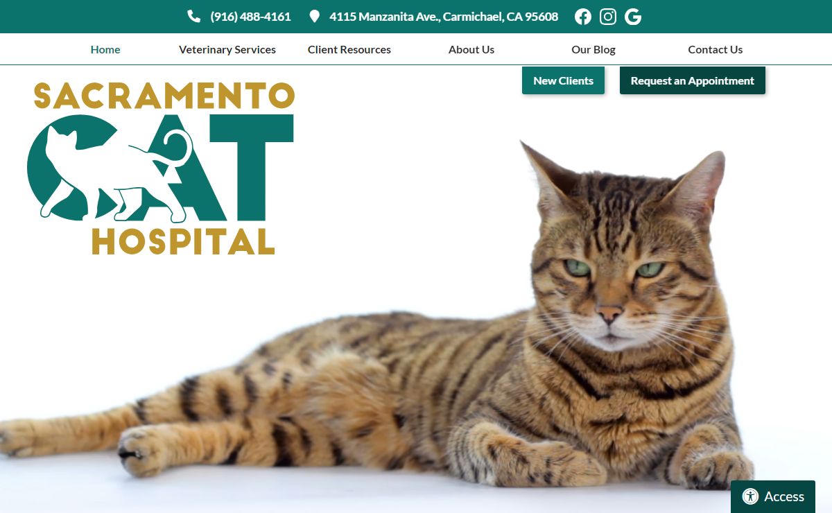 Home | Carmichael, CA | Sacramento Cat Hospital