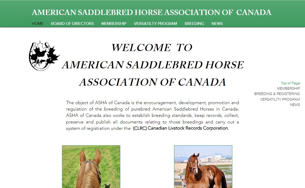 American Saddlebred Horse Association of Canada
