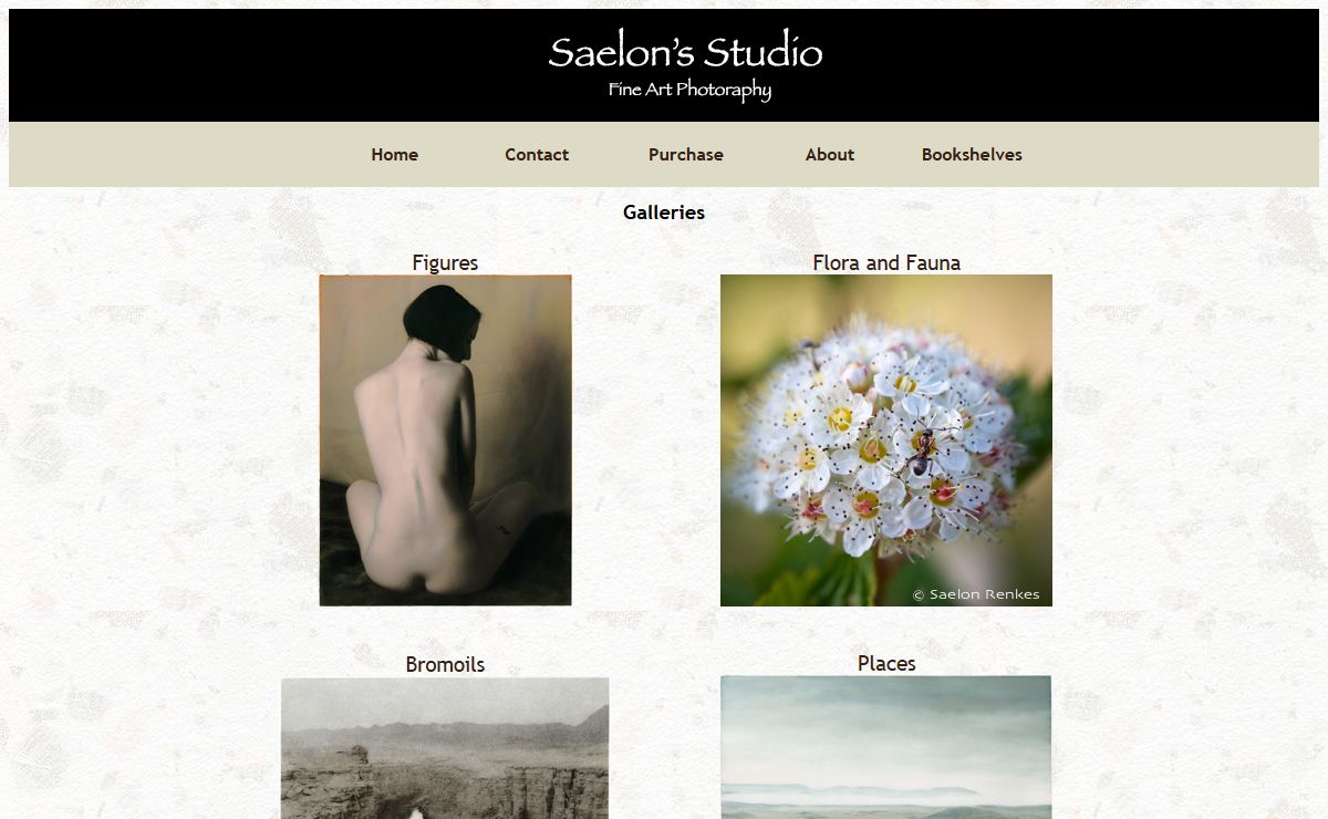 Saelon's Studio Home Page