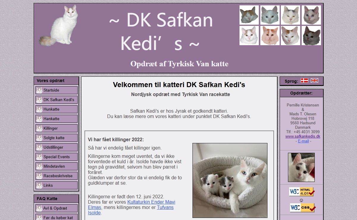 Tyrkisk Van katte hos katteri Safkan Kedi's - Vi har et godkendt katteri