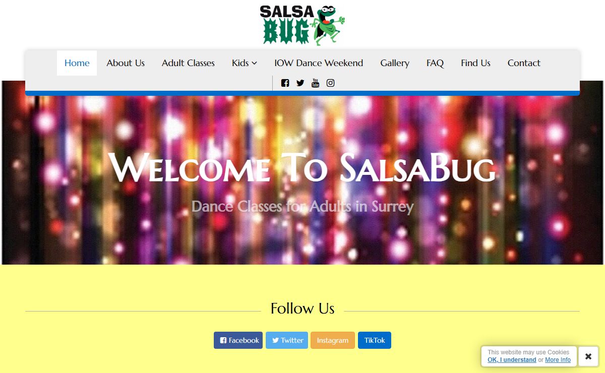 SalsaBug Dance Classes