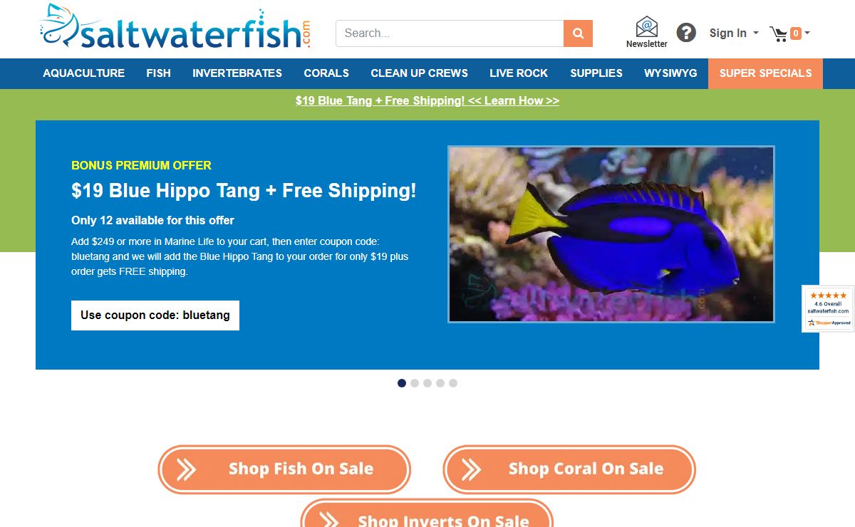Saltwater Fish - Coral - Invertebrates - Aquariums - Tanks