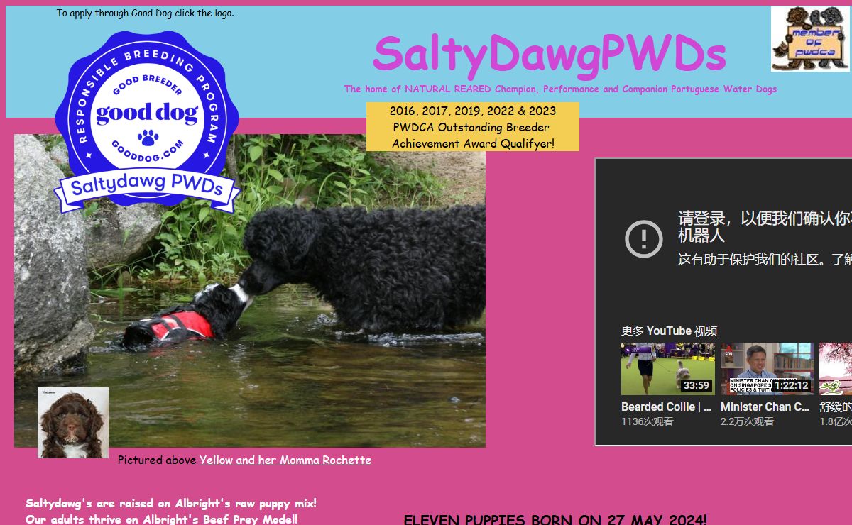Saltydawg Portuguese Water Dogs | Moultonboro, NH | Home