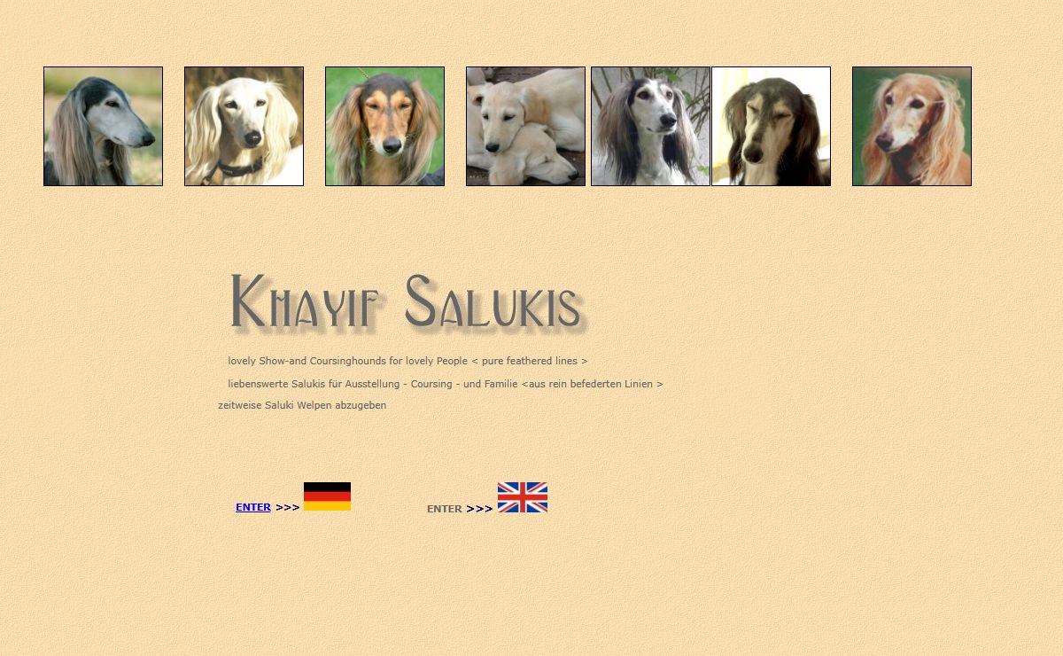 Khayif Salukis, Windhunde