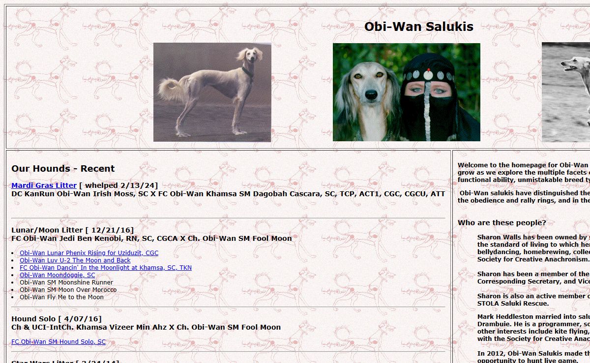 Obi-Wan Salukis