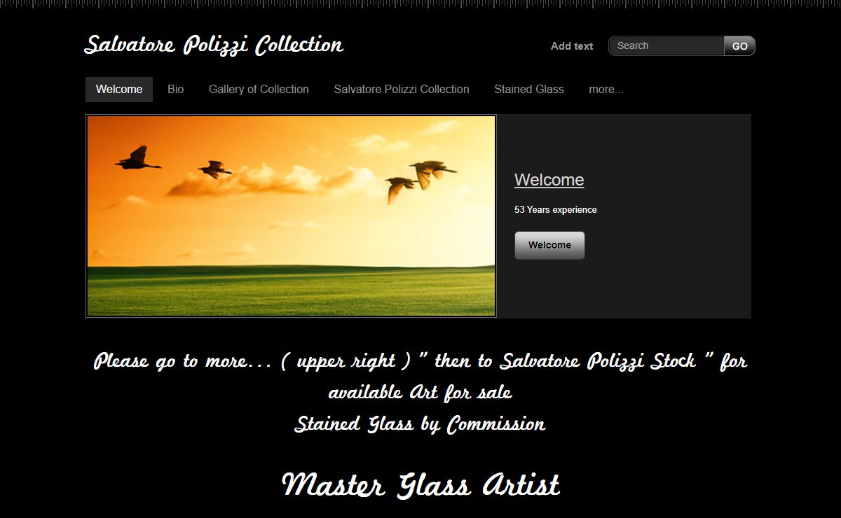 Salvatore Polizzi Collection - Welcome