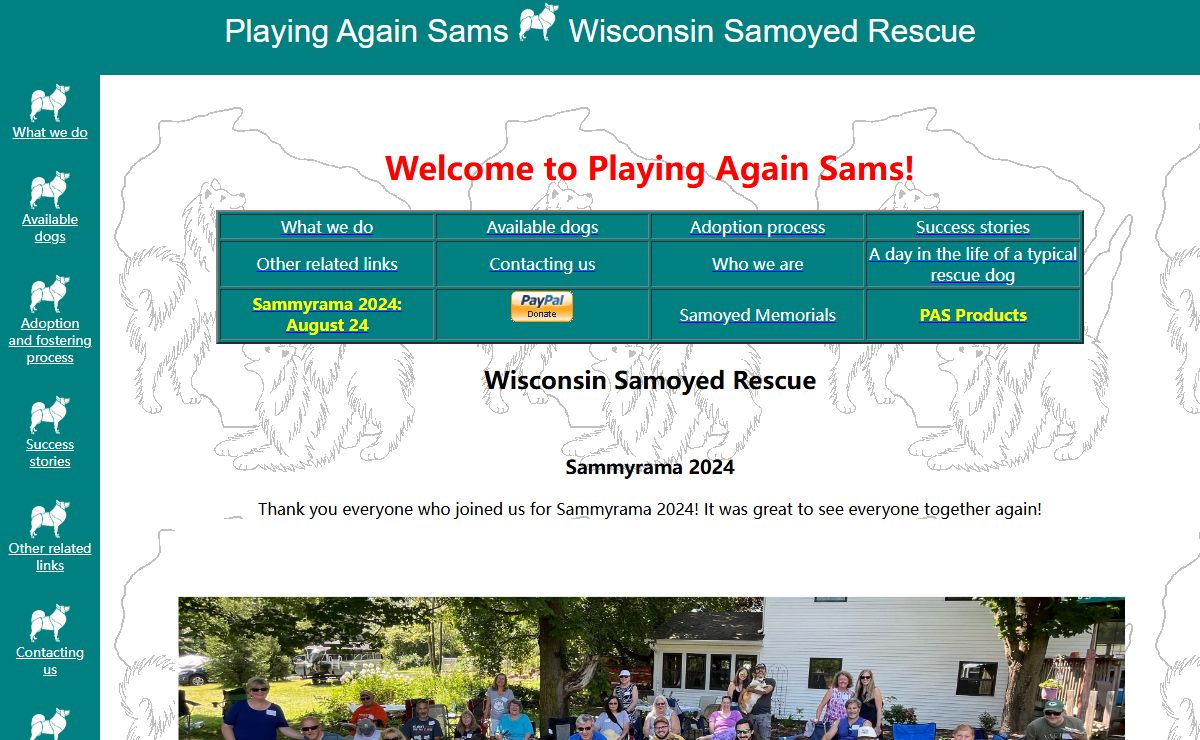 Playing Again Sams--Wisconsin Samoyed Rescue