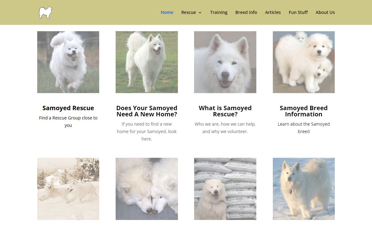 Home - SAMOYED.ORG