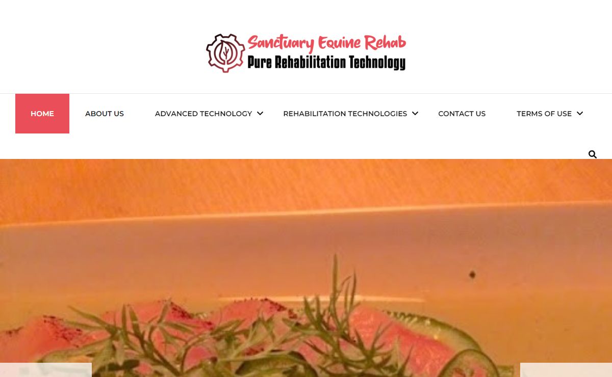 Sanctuary Equine Rehab - Pure Rehabilitation Technology