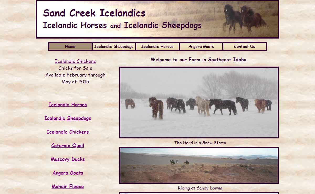 Sand Creek Icelandic Sheepdogs & Horses