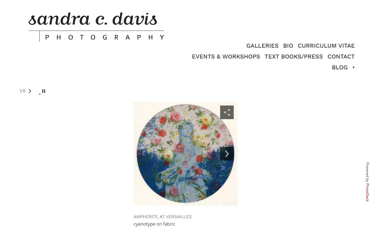 Sandra C Davis