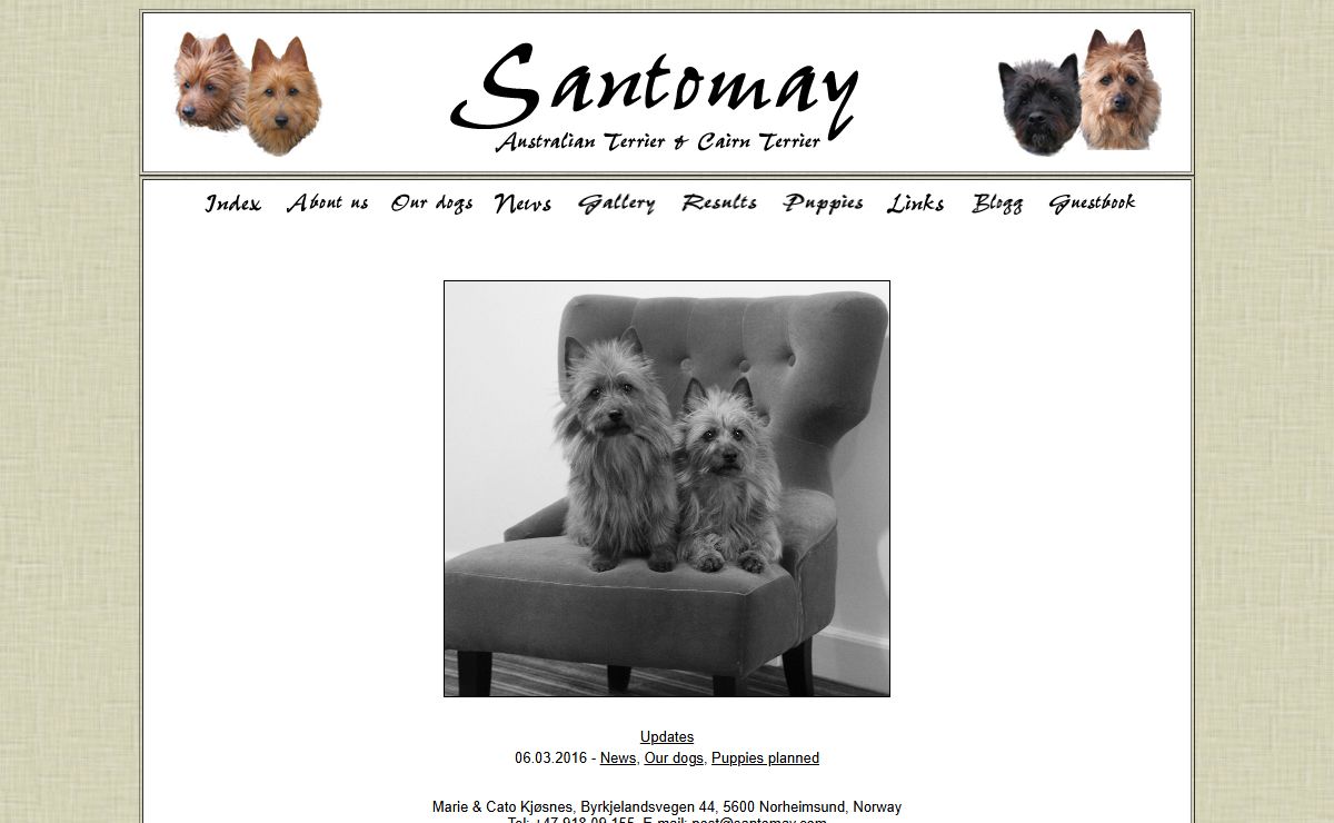 Santomay Australian Terriers