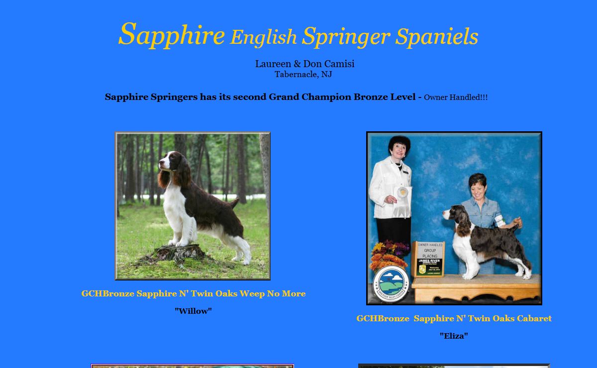 Sapphire English Springer Spaniels in New Jersey, english springer spaniel breeder in nj, english springer spaniel pups