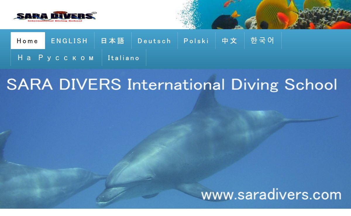 Best EGYPT Dive [SARA DIVERS] Red Sea Diving & Dolphin swim 日本語で紅海ダイビング!ハルガダ・エジプト