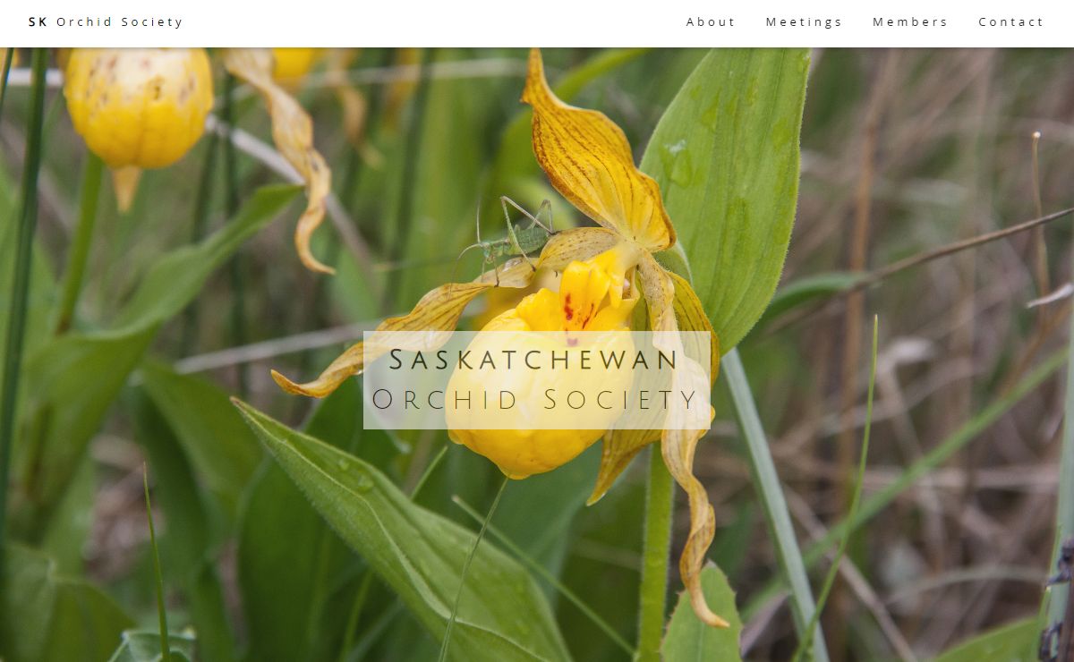 Saskatchewan Orchid Society