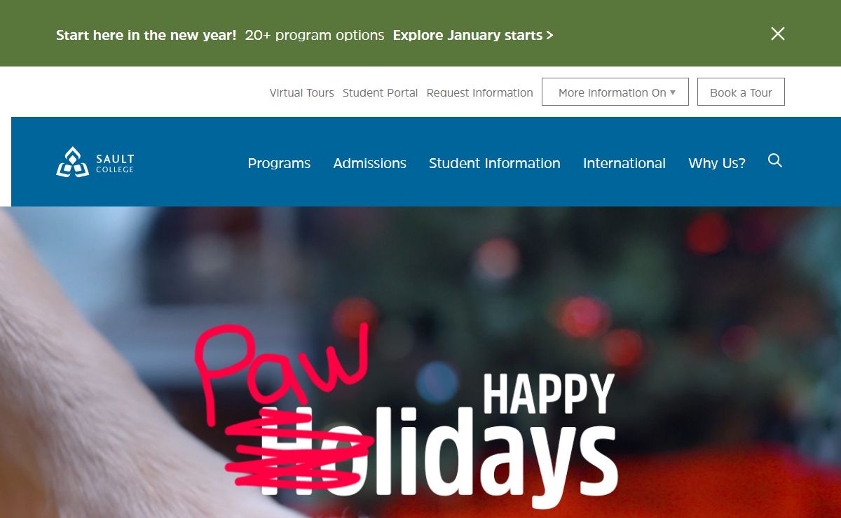 Welcome to the Real You. | Sault College