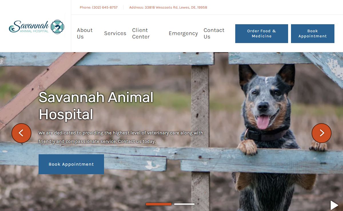 Veterinarian in Lewes, DE | Savannah Animal Hospital