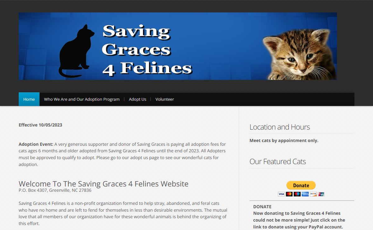 Saving Graces 4 Felines
