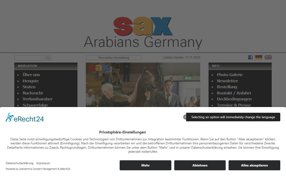Sax Arabians Germany | Araber Pferde kaufen Vollblüter Vollblutaraber