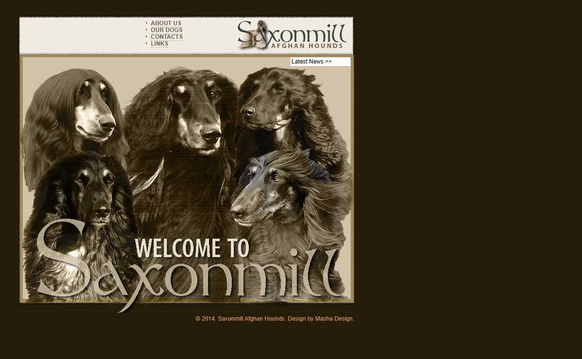 Saxonmill Afghans UK | Afghan Hounds from Roberta Hall - New web site