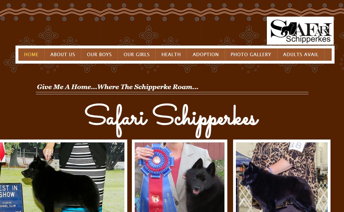 Safari Schipperkes - Schipperke Puppy Schipperke Puppies