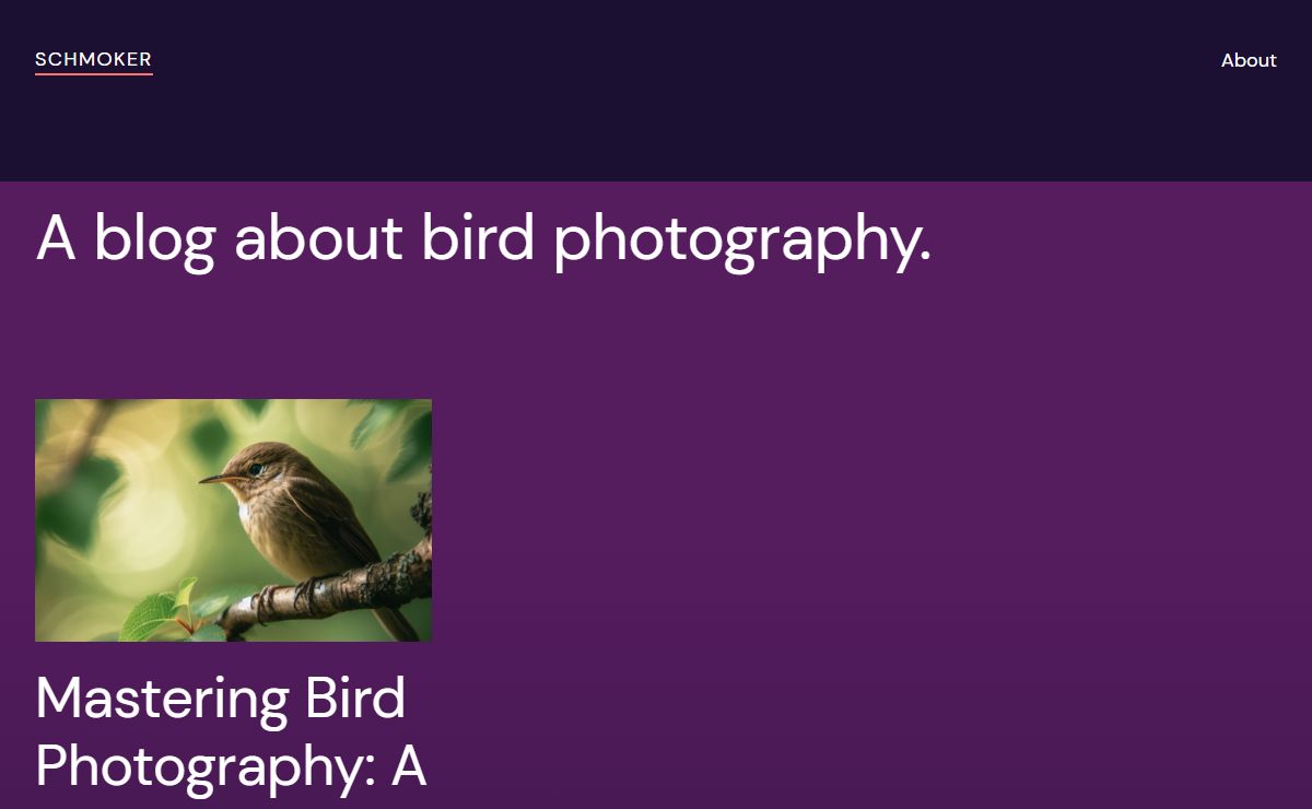 Schmoker – A blog about bird photography