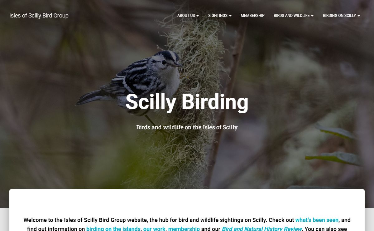 Isles of Scilly Bird Group – Birds and wildlife on the Isles of Scilly