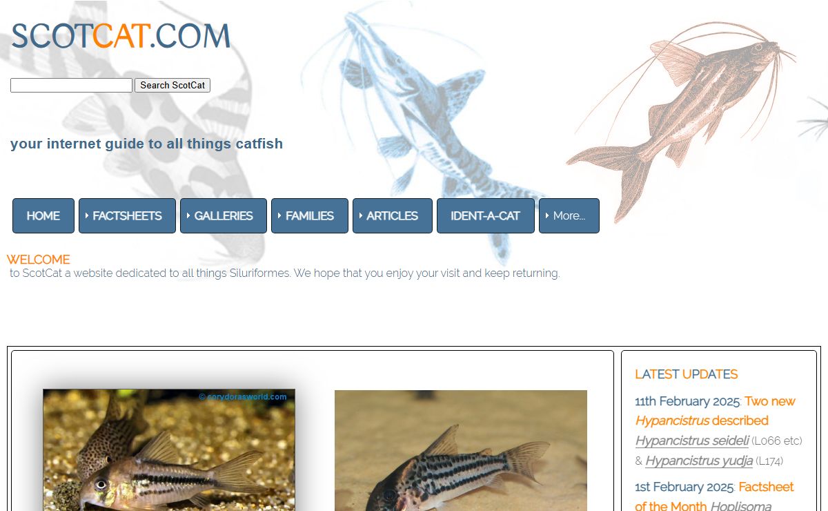 Catfish: Your internet guide to all things Catfish