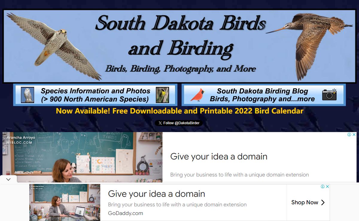 South Dakota Birds, Birding, and the Outdoors - By Terry Sohl