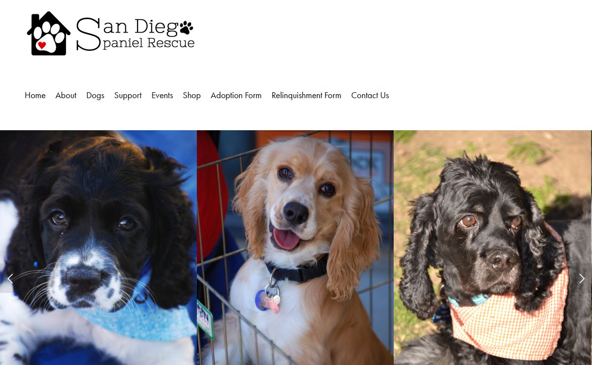 San Diego Spaniel Rescue