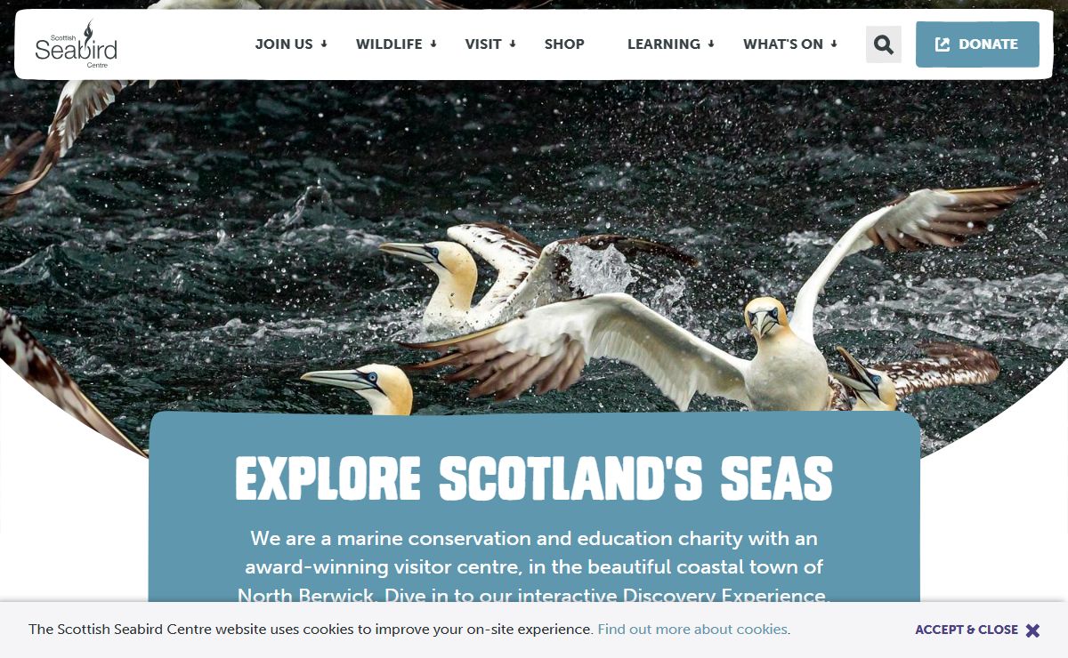 Scottish Seabird Centre - Scottish Seabird Centre