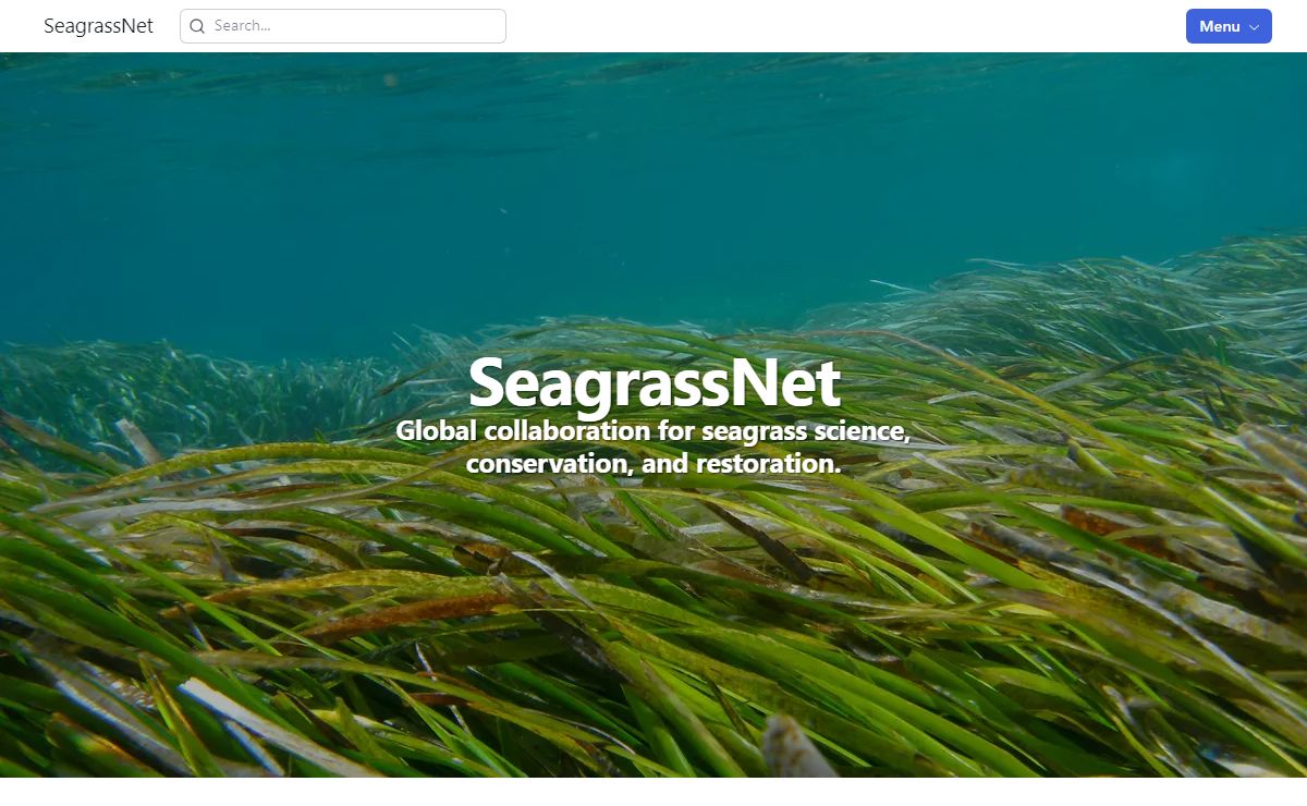 SeagrassNet