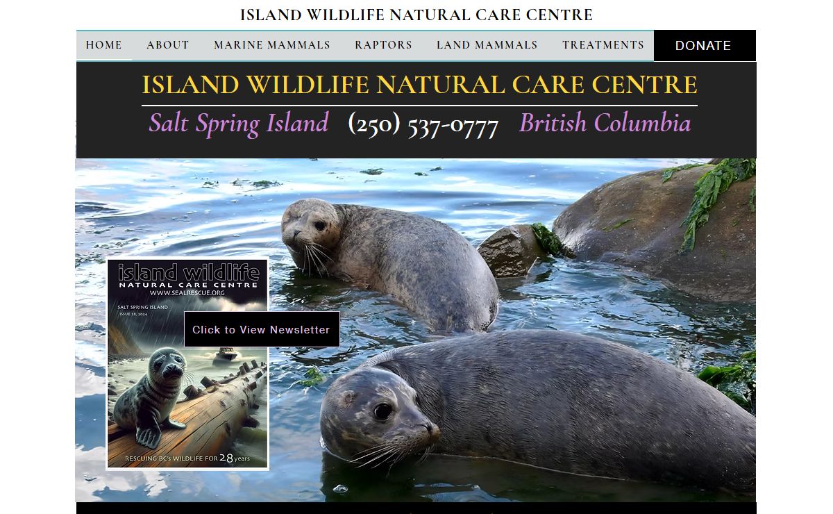 Island Wildlife Rescue | Orphaned seal pup rescue | Salt Spring Island,BC