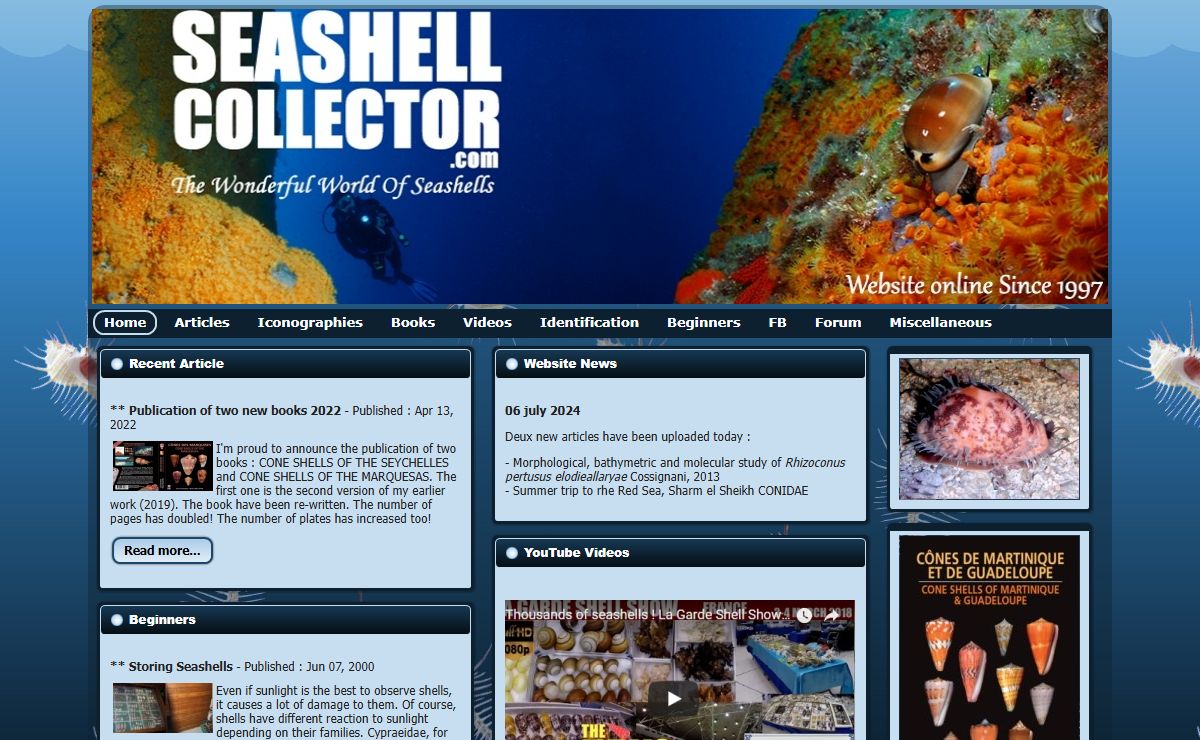 SEASHELL COLLECTORS | Home