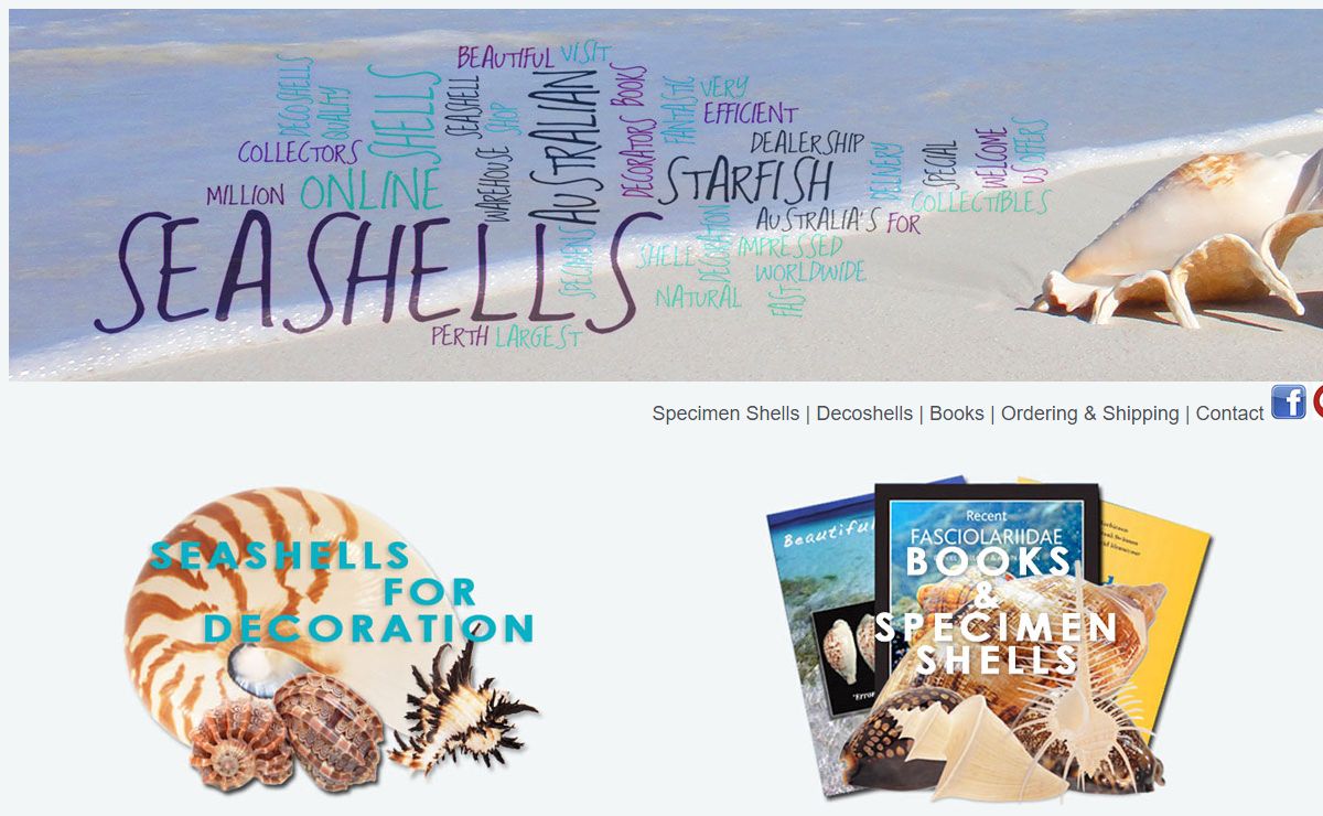 Australian Seashells, shells for sale, starfish & seashells online shop, Australia's largest seashell supplier